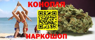 СК Бийск
